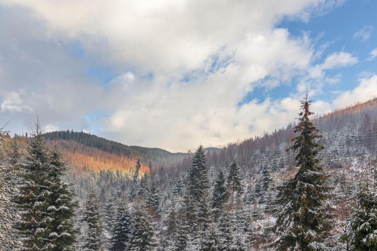 Konopka Forest Home & Spa Bukovel Exterior photo