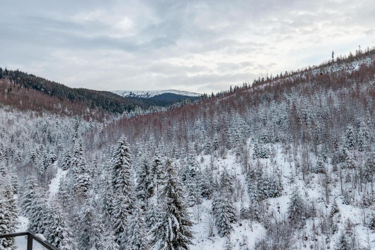Konopka Forest Home & Spa Bukovel Exterior photo